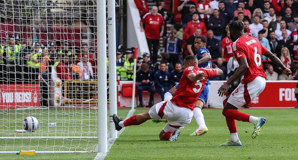 香港金牛连续2天击败CBA球队，将与上海争夺一个出线名额